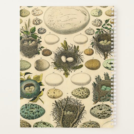  vogeleieren met nestkunst planner (Achterkant)