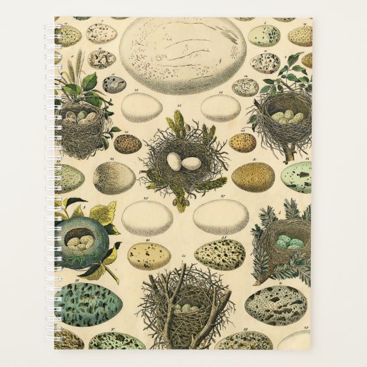 vogeleieren met nestkunst planner (Voorkant)