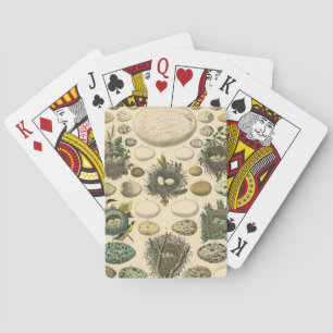 vogeleieren met nestkunst pokerkaarten