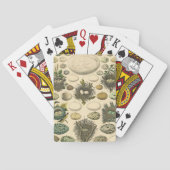  vogeleieren met nestkunst pokerkaarten (Achterkant)