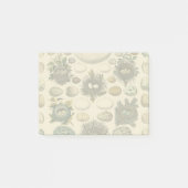 vogeleieren met nestkunst post-it® notes (Voorkant)