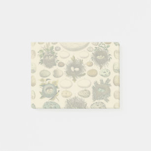 vogeleieren met nestkunst post-it® notes