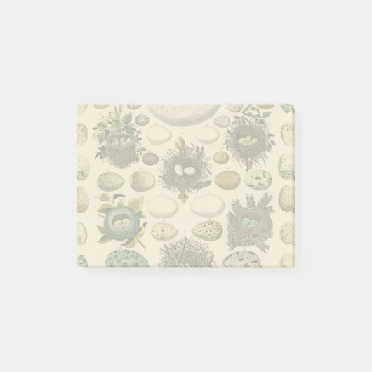  vogeleieren met nestkunst post-it® notes (Voorkant)