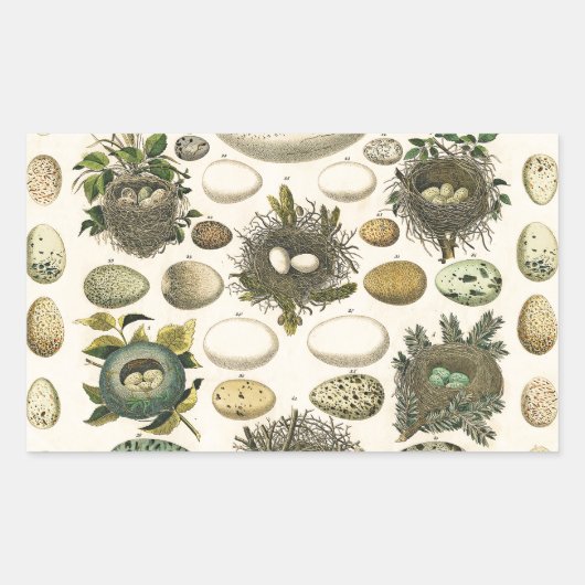 vogeleieren met nestkunst rechthoekige sticker (Voorkant)