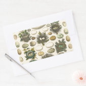 vogeleieren met nestkunst rechthoekige sticker (Envelop)