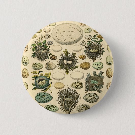  vogeleieren met nestkunst ronde button 5,7 cm (Voorkant)