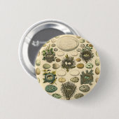  vogeleieren met nestkunst ronde button 5,7 cm (Voorkant /achterkant)