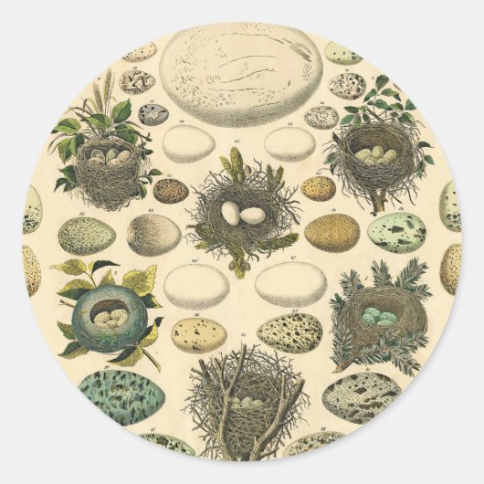  vogeleieren met nestkunst ronde sticker (Voorkant)