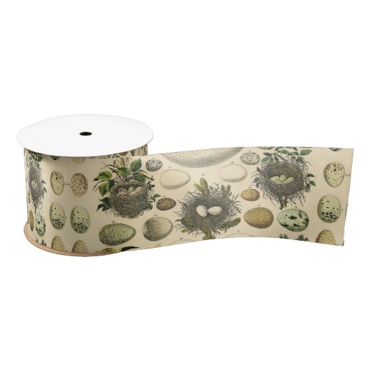  vogeleieren met nestkunst satijnen lint (Spoel)