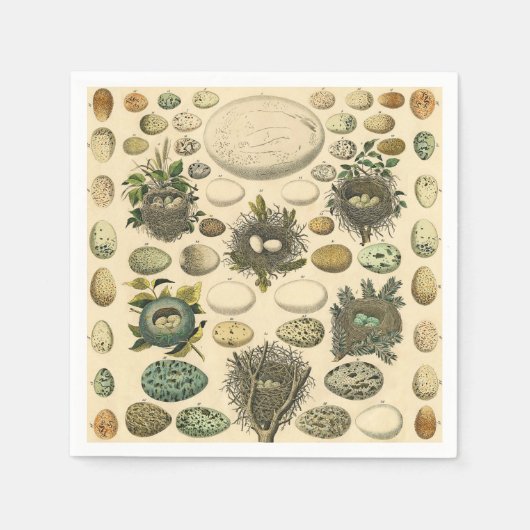  vogeleieren met nestkunst servet (Voorkant)