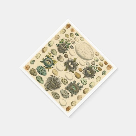  vogeleieren met nestkunst servet (Hoek)