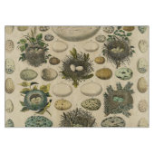 vogeleieren met nestkunst snijplank (Voorkant)