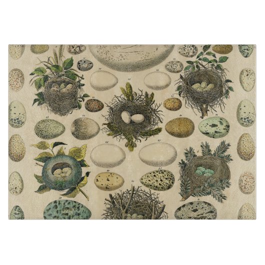  vogeleieren met nestkunst snijplank (Voorkant)