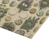  vogeleieren met nestkunst snijplank (Hoek)