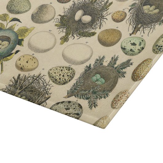  vogeleieren met nestkunst snijplank (Hoek)