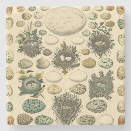  vogeleieren met nestkunst stenen onderzetter (Voorkant)