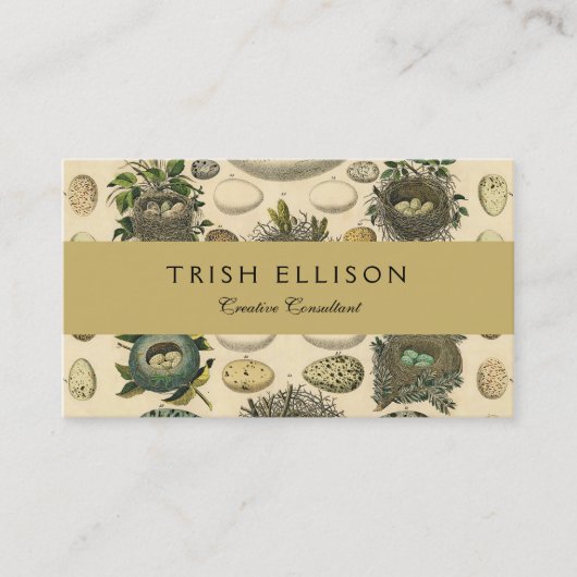  vogeleieren met nestkunst visitekaartje (Voorkant)