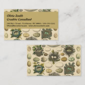 vogeleieren met nestkunst visitekaartje (Voorkant / Achterkant)