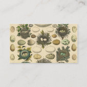 vogeleieren met nestkunst visitekaartje (Achterkant)