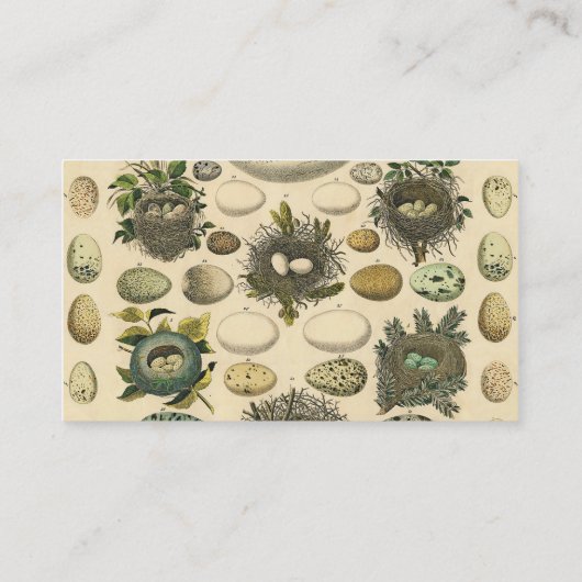 vogeleieren met nestkunst visitekaartje (Achterkant)