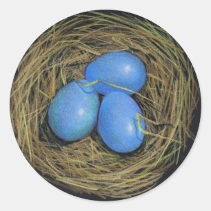 VOGELEITEN IN NEST: REALISME ART: STICKERS