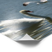 Vogelen en zwoegen op een foto afdruk (Hoek)