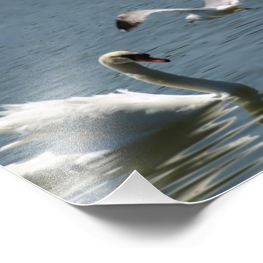 Vogelen en zwoegen op een foto afdruk (Hoek)