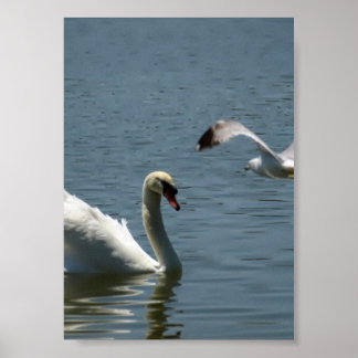 Vogelen en zwoegen op een poster