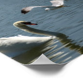 Vogelen en zwoegen op een poster (Hoek)