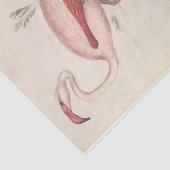 Vogelflamingo ephemera decoupage tissuepapier (Detail)