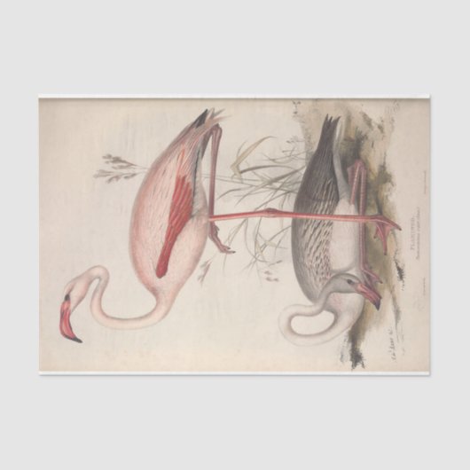 Vogelflamingo ephemera decoupage tissuepapier (Voorkant)