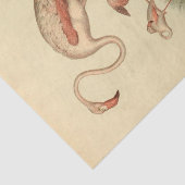 Vogelflamingo ephemera decoupage tissuepapier (Detail)