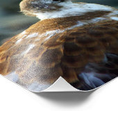 Vogelfoto/jonge meeuw/vogelliefhebber cadeau/ foto afdruk (Hoek)