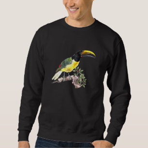 vogelfoto van Aert Schouman Trui