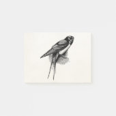 vogelfoto van Barn Swallow Swift Bird Post-it® Notes (Voorkant)