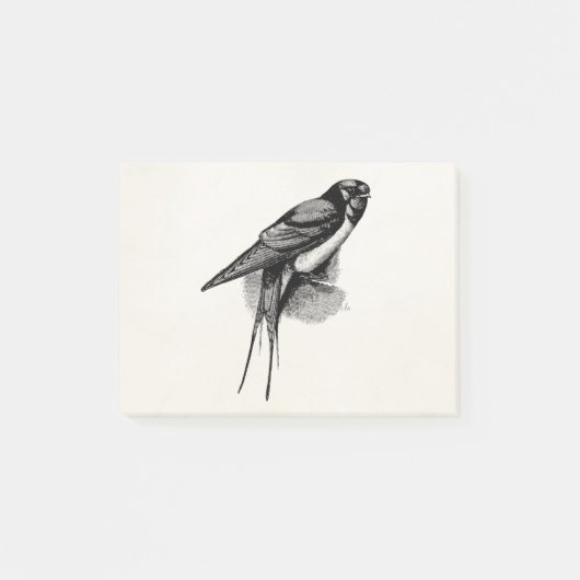 vogelfoto van Barn Swallow Swift Bird Post-it® Notes (Voorkant)