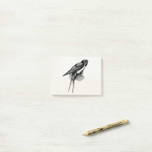 vogelfoto van Barn Swallow Swift Bird Post-it® Notes (Op bureau)