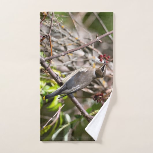 Vogelfotografie, Bohemian Waxwing Bad Handdoek (Handdoek)