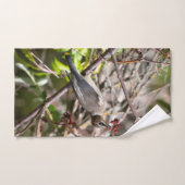 Vogelfotografie, Bohemian Waxwing Bad Handdoek (Handdoek)