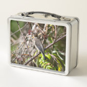 Vogelfotografie, Canadese Bohemian Waxwing (Achterkant)