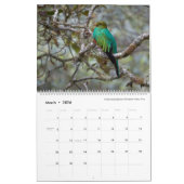 Vogelfotografie door Tom Spine, 2022 Kalender (Mar 2026)