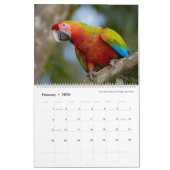 Vogelfotografie door Tom Spine, 2022 Kalender (Feb 2026)
