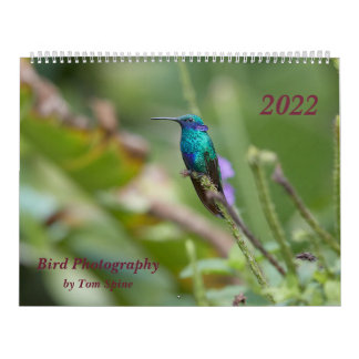 Vogelfotografie door Tom Spine, 2022 Kalender
