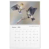 Vogelfotografie door Tom Spine - 2024 Kalender (Feb 2026)