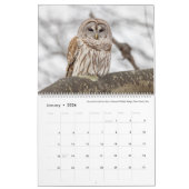 Vogelfotografie door Tom Spine - 2024 Kalender (Jan 2026)
