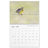 Vogelfotografie door Tom Spine, kalender 2020 (Mar 2027)
