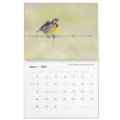 Vogelfotografie door Tom Spine, kalender 2020 (Mar 2026)