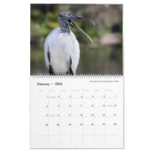 Vogelfotografie door Tom Spine, kalender 2020 (Feb 2026)