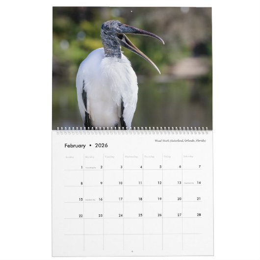 Vogelfotografie door Tom Spine, kalender 2020 (Feb 2026)