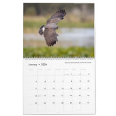 Vogelfotografie door Tom Spine, kalender 2020 (Jan 2026)